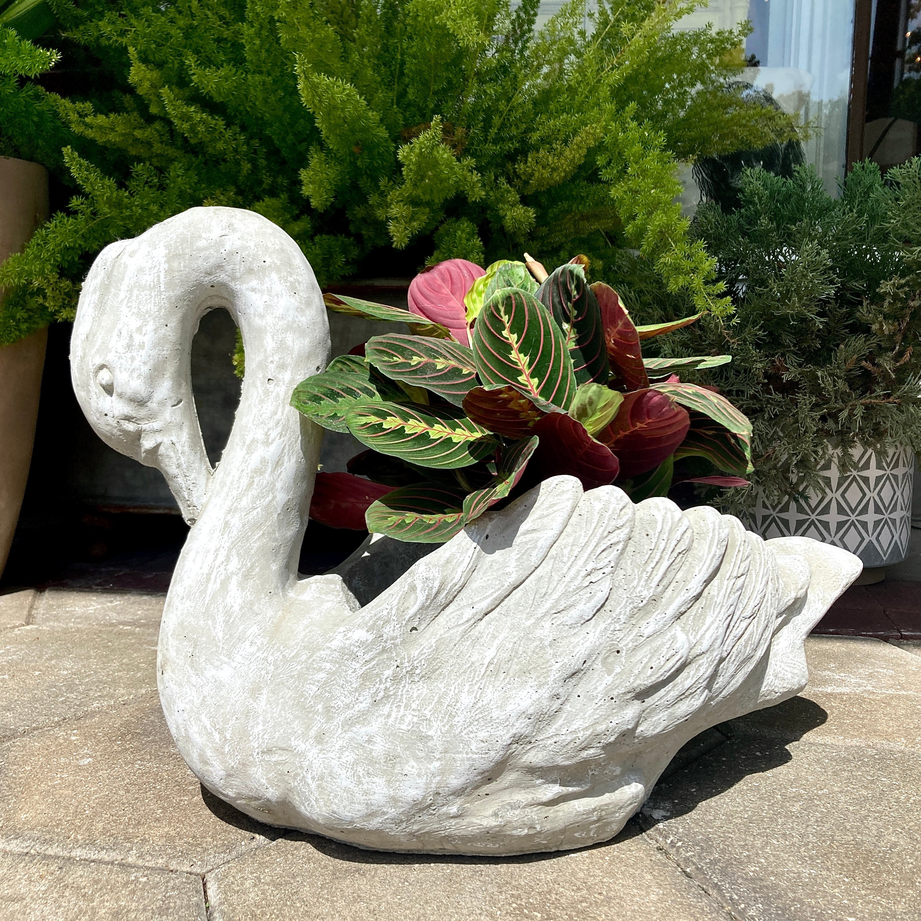 Swan Planter | Scout & Tag